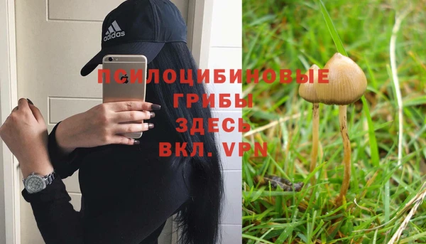 скорость Алексеевка
