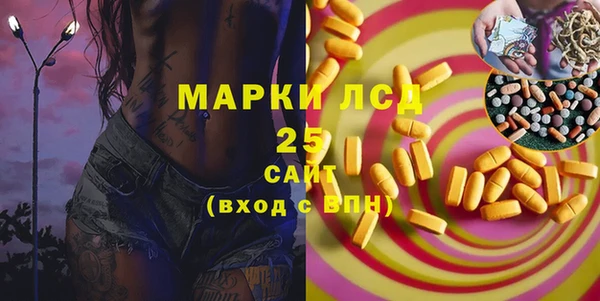 ПСИЛОЦИБИНОВЫЕ ГРИБЫ Алексин